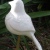 Carved Wood Pigeon