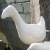 Carved Pukeko