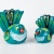 Fantail (Aqua/Green)