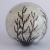 ORB Flax