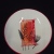 Seasons (Red/Orange)