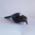 Tui Vintage 