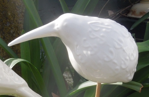 Carved Kiwi