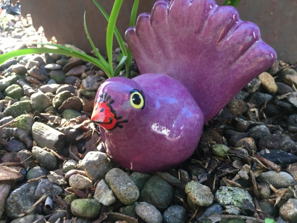 Fantail Purple